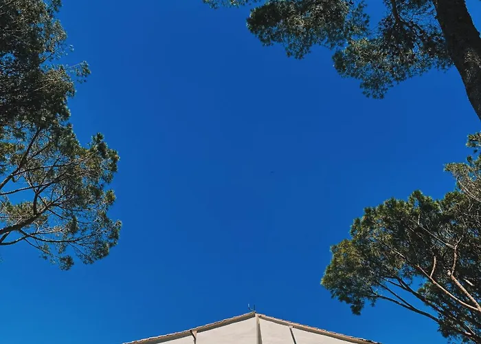 Can Romy Appartement T2F A 20M De La Plage De Cala Montgo