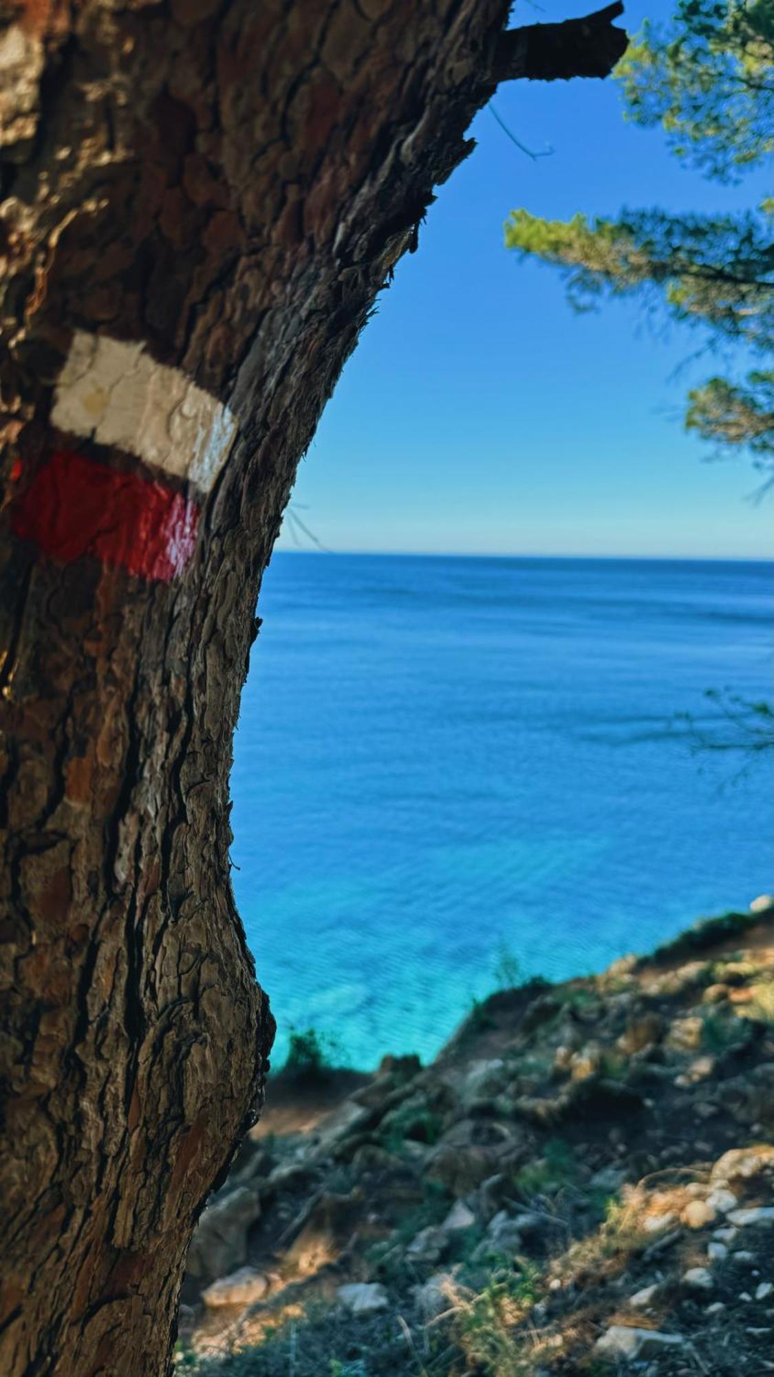 Apartment Romy T2f A 20m De La De Cala Montgo *